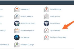 如何在cPanel上配置SpamAssassin
