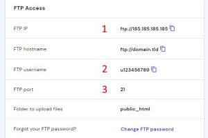 FTP工具怎么使用