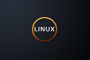 查看Linux内核版本的命令