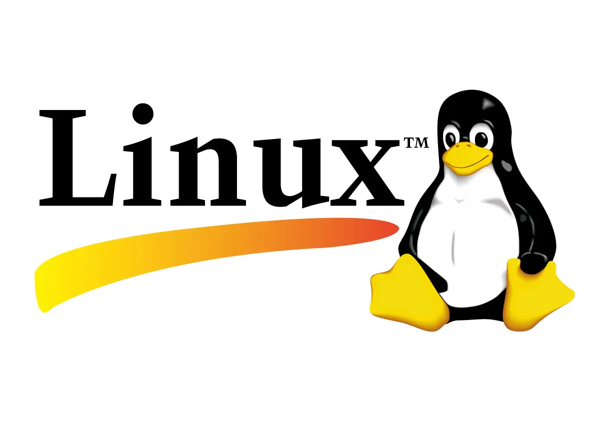 Linux w命令详解