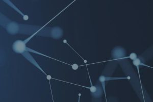 Liquid Web二十五周年庆活动