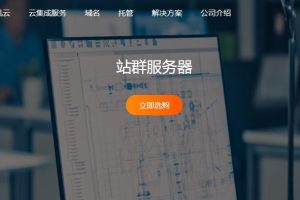 RAKsmart香港/美国/日本多IP站群服务器租用价格表