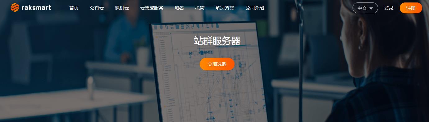 RAKsmart香港/美国/日本多IP站群服务器租用价格表