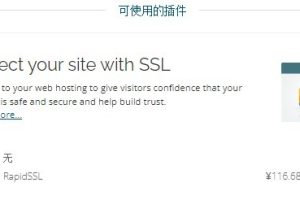 Megalayer海外服务器支持在线选择附加RapidSSL证书