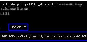 SSL证书手动DNS验证失败问题排查