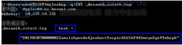 SSL证书手动DNS验证失败问题排查