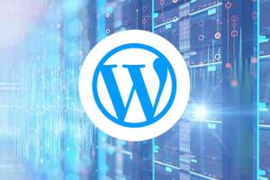 WordPress主机和WordPress VPS