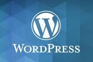 WordPress主题购买网站