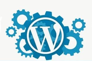 WordPress主题显示不出来