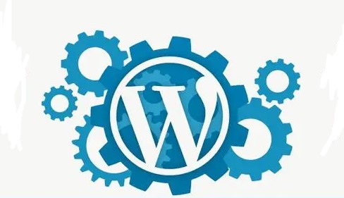 WordPress主题显示不出来