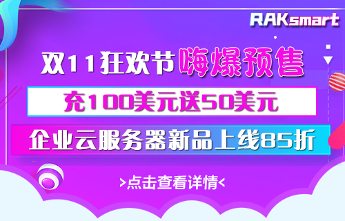 RAKsmart双11预售开启