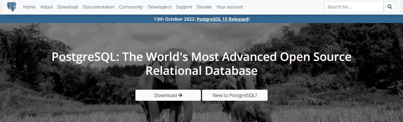 PostgreSQL 15