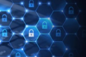 GlobalSign证书去哪里买