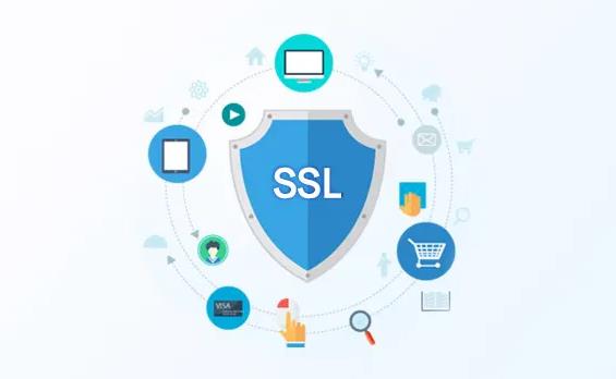 泛域名证书多少钱一年