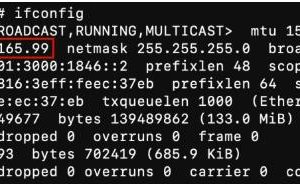 使用ifconfig获取公共IPv4地址