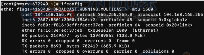 使用ifconfig获取公共IPv4地址