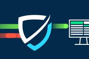 国外高防服务器租用