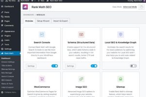 Rank Math插件