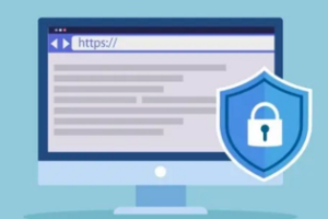 SSL证书保护域名数量