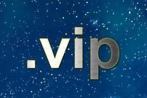 vip域名好不好