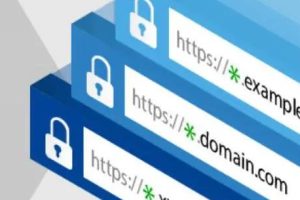 通配符证书有什么用