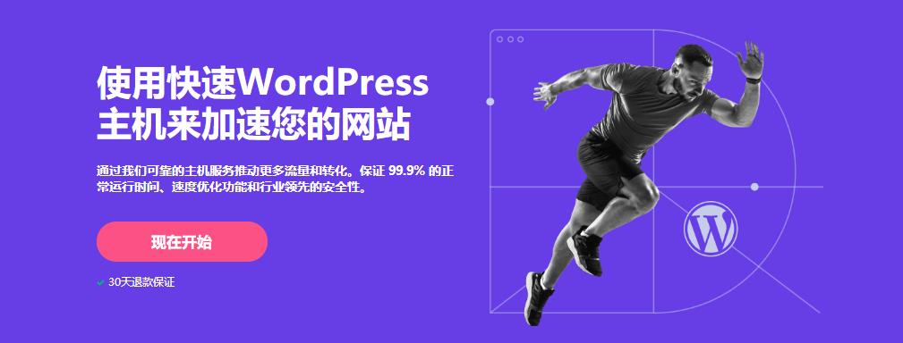 Hostinger WordPress主机