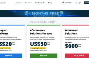 WP Engine2022黑五促销活动