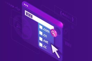 西部数码2022年双十一域名优惠