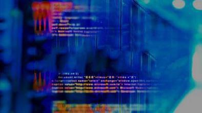 香港站群多IP服务器租用