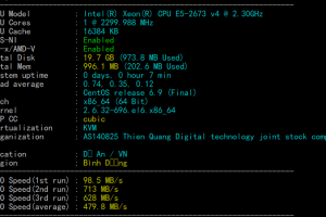 HostingViet越南VPS评测