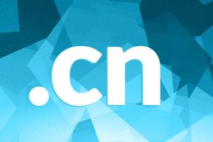 .cn/.中国域名隐私保护服务调整及收费通知