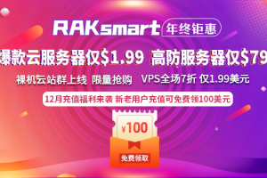 RAKsmart年终钜惠