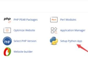 设置Python应用程序