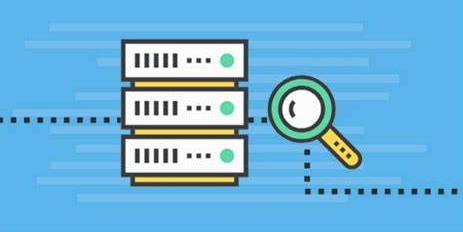 便宜的站群服务器