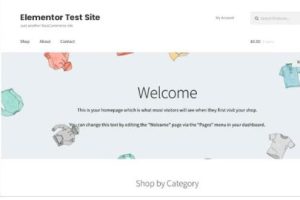 通过WordPress定制器创建页面
