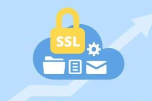 申请DV SSL证书DNS验证失败怎么解决