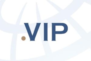 vip域名续费价格