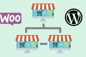 WooCommerce多站点订单管理