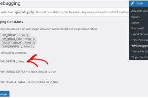 WP Debugging插件使用教程