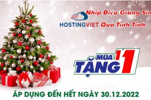 HostingViet2022圣诞节特惠活动
