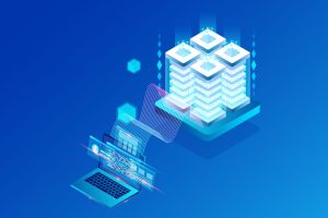 RAKsmart便宜站群服务器限时促销