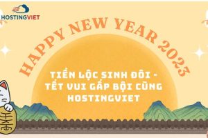 HostingViet新年优惠活动