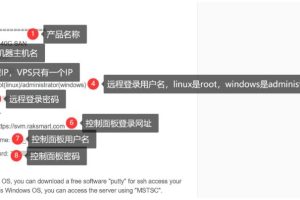 RAKsmart海外vps服务器控制面板信息