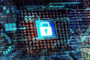 购买域名和服务器一般多少钱