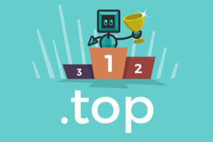 top域名续费一年多少钱