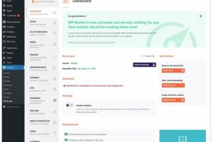 WP Rocket加速WordPress网站