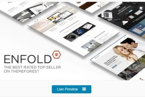 Enfold主题下载