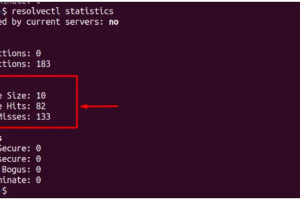 如何在Ubuntu上查看和刷新DNS缓存
