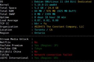 Vultr日本大阪机房评测