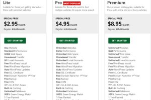 GreenGeeks WordPress主机